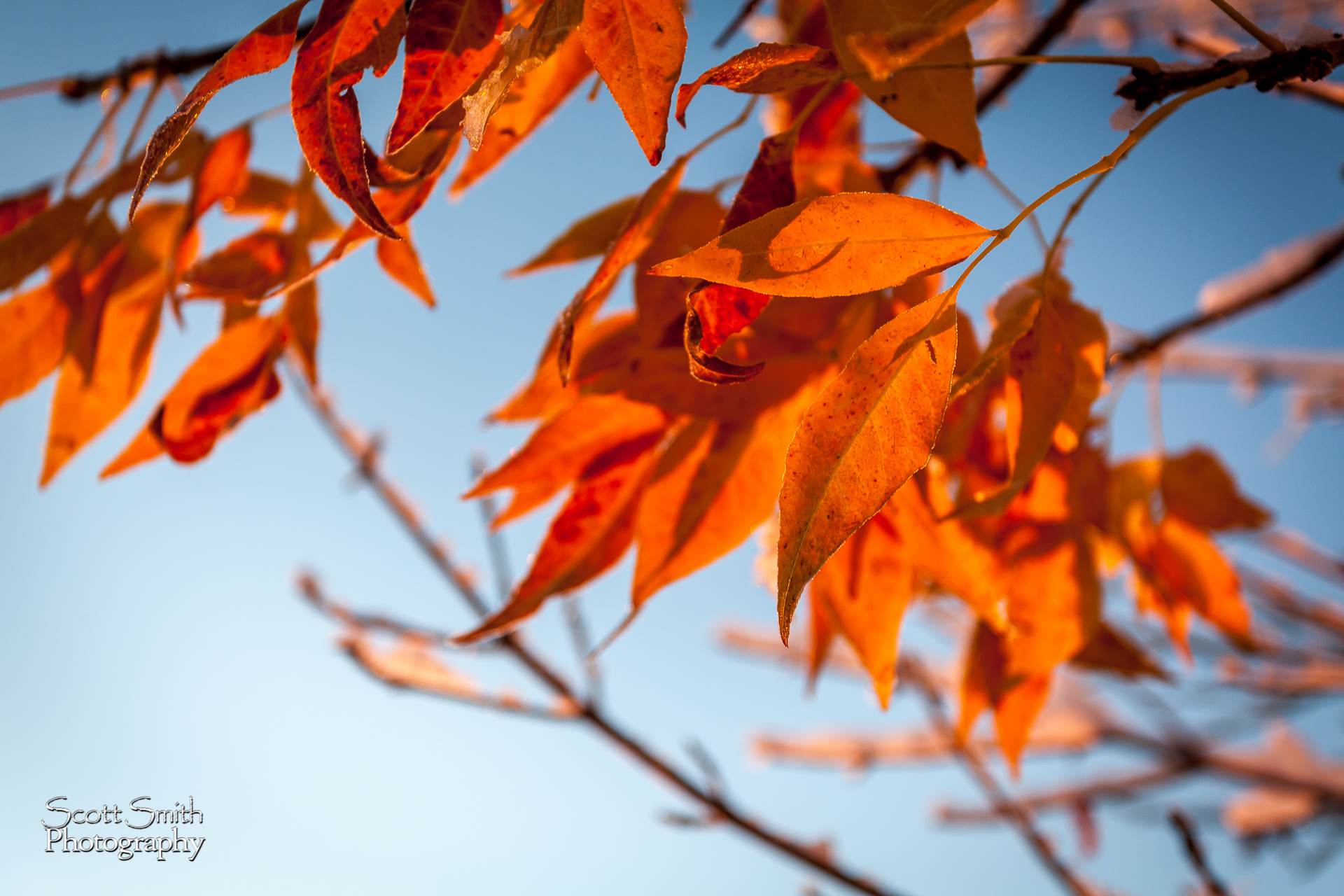 Autumn Colors Of Colorado Rockies Stock Photo - Download Image Now -  Breckenridge, Colorado, Autumn - iStock